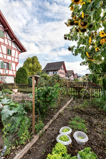 Gartenstrasse 14/16, Reihenansicht mit Garten