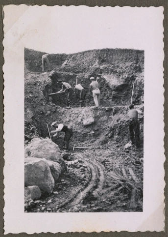 Bild 4: Freiwilliges Arbeitslager Horbach auf dem Zugerberg der Gemeinnützigen Gesellschaft Zug. Foto: Gemeinnützige Gesellschaft Zug, Mitte