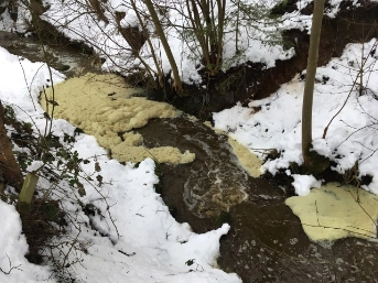 Schwarzenbach nach Gülleunfall verschmutzt