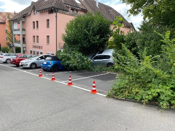Auto prallt in Baum