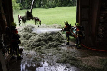 Mottbrand in Heustock