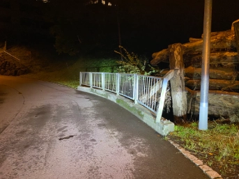 Unfallstelle Walchwil