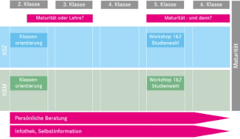 Studienwahlvorbereitung Grafik